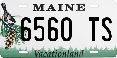 ME license plate 6560TS