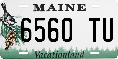 ME license plate 6560TU