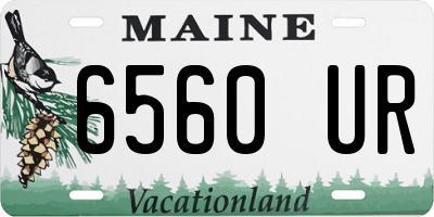 ME license plate 6560UR