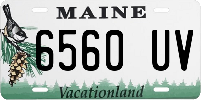 ME license plate 6560UV