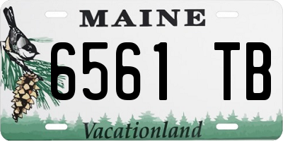 ME license plate 6561TB