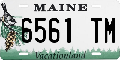 ME license plate 6561TM