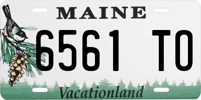 ME license plate 6561TO