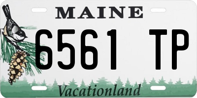 ME license plate 6561TP