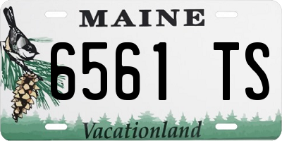 ME license plate 6561TS