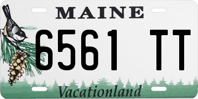ME license plate 6561TT