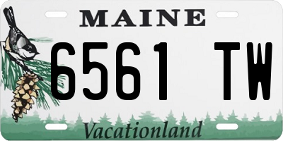 ME license plate 6561TW