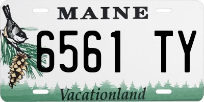 ME license plate 6561TY