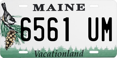 ME license plate 6561UM