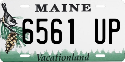 ME license plate 6561UP