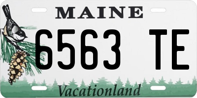 ME license plate 6563TE