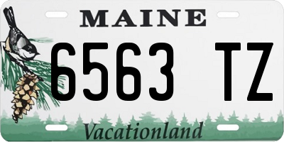 ME license plate 6563TZ