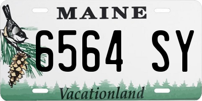 ME license plate 6564SY