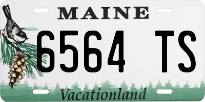 ME license plate 6564TS