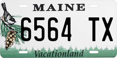 ME license plate 6564TX