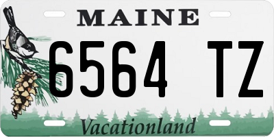 ME license plate 6564TZ