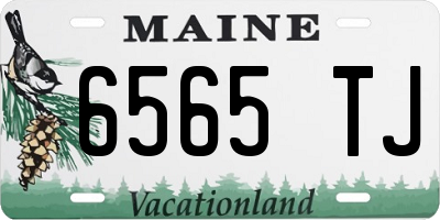 ME license plate 6565TJ