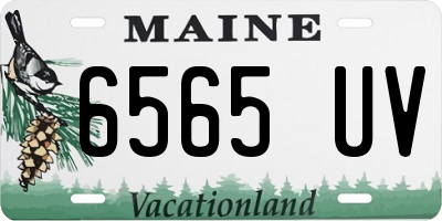 ME license plate 6565UV