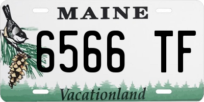 ME license plate 6566TF