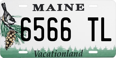 ME license plate 6566TL