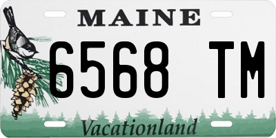 ME license plate 6568TM