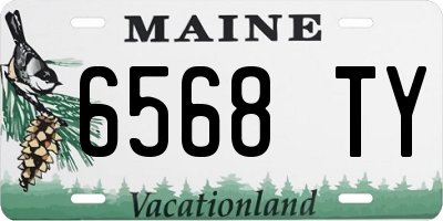 ME license plate 6568TY