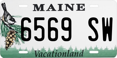 ME license plate 6569SW