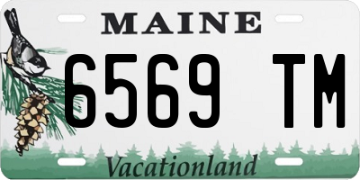 ME license plate 6569TM