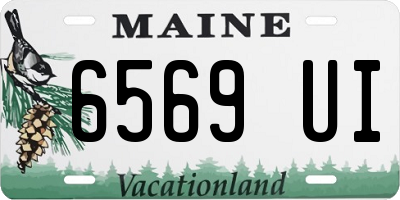 ME license plate 6569UI