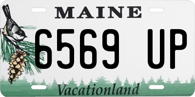 ME license plate 6569UP