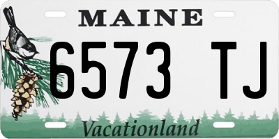 ME license plate 6573TJ