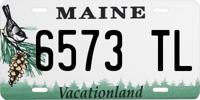 ME license plate 6573TL