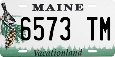 ME license plate 6573TM