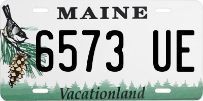ME license plate 6573UE