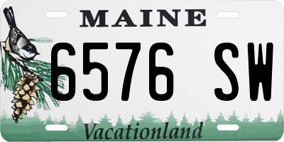 ME license plate 6576SW