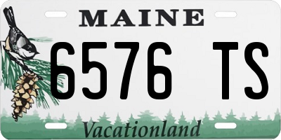 ME license plate 6576TS