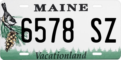 ME license plate 6578SZ