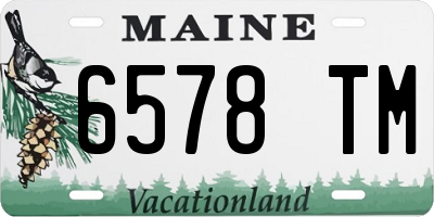 ME license plate 6578TM