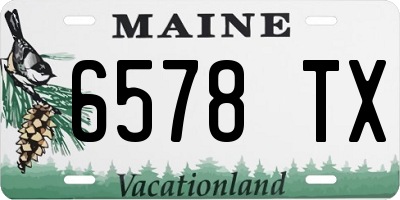 ME license plate 6578TX