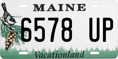 ME license plate 6578UP