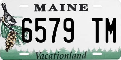 ME license plate 6579TM