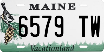 ME license plate 6579TW