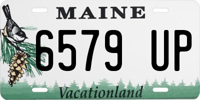 ME license plate 6579UP