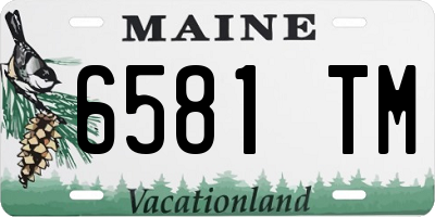 ME license plate 6581TM