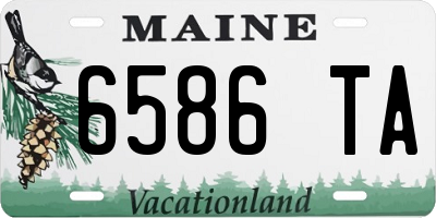 ME license plate 6586TA