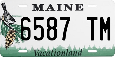 ME license plate 6587TM