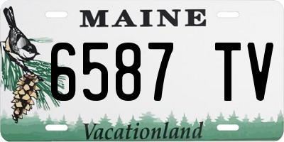 ME license plate 6587TV