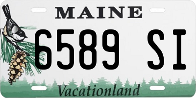 ME license plate 6589SI