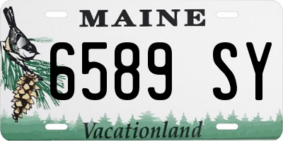 ME license plate 6589SY