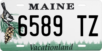 ME license plate 6589TZ